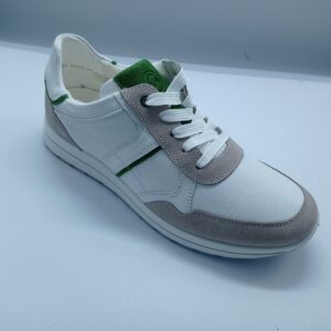 ARA 24502 Matteo Weiss