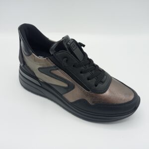 ARA 57701 Garda Scharw