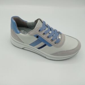 ARA 27542 Sapporo Peeble