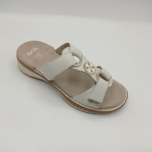 ARA  29003 Hawai Cream