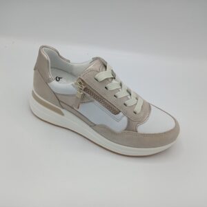 ARA 57702 Garda Shell