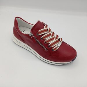 ARA 54801 Osaka cherry