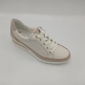 ARA 50601 Zurich Shell