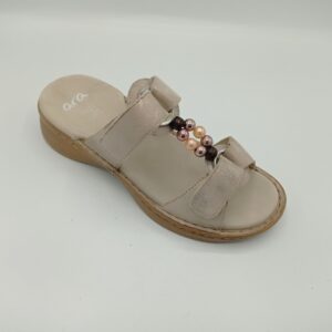 ARA 29022 Hawaii shell