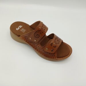 ARA 29020 Hawaii Natur