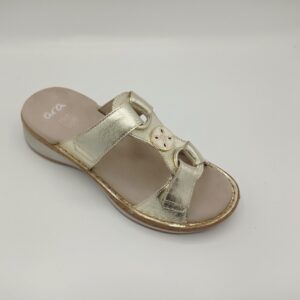 ARA 29003 Hawaii Platin